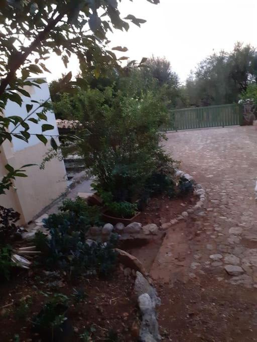 A Modern Farmhouse With Big Garden Τράπεζα Εξωτερικό φωτογραφία