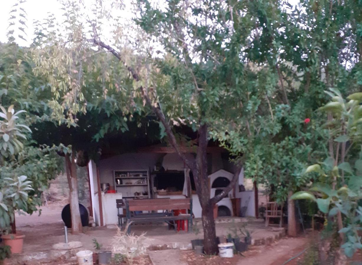 A Modern Farmhouse With Big Garden Τράπεζα Εξωτερικό φωτογραφία