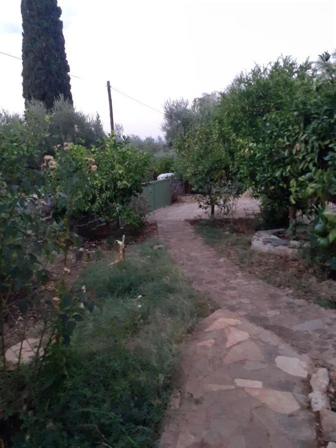 A Modern Farmhouse With Big Garden Τράπεζα Εξωτερικό φωτογραφία