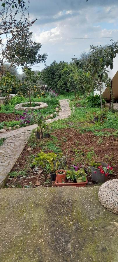 A Modern Farmhouse With Big Garden Τράπεζα Εξωτερικό φωτογραφία