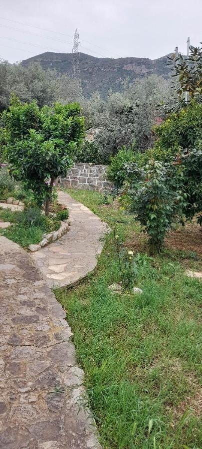 A Modern Farmhouse With Big Garden Τράπεζα Εξωτερικό φωτογραφία